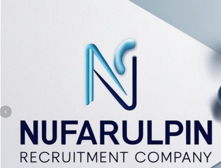 NUFARUL PIN Logo